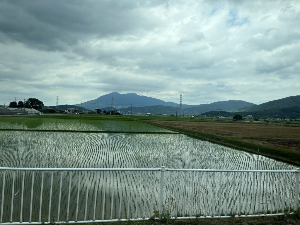 IMG_6387 2 - innovaTopia - innovaTopia - (イノベトピア)