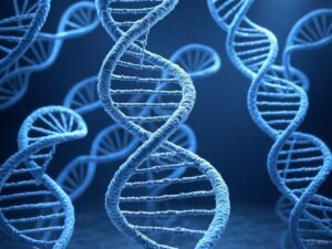  - innovaTopia - （イノベトピア）