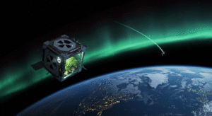 Genoplant Research Institute、大麻種子の宇宙実験で宇宙農業に新展開 - innovaTopia - （イノベトピア）