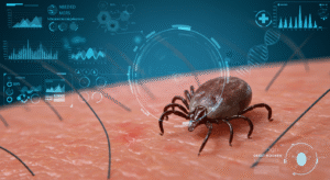  ライム病症例が2倍増、CDC警告｜ダニ媒介感染症の予防と対策2025 - innovaTopia - （イノベトピア）