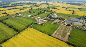 世界唯一の完全食料自給国｜186カ国中ガイアナのみが7食品群で自給達成 - innovaTopia - （イノベトピア）