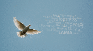  - innovaTopia - （イノベトピア）