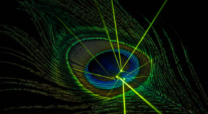 フロリダ工科大学が実証、孔雀羽根から世界初のバイオレーザー発振 - innovaTopia - （イノベトピア）