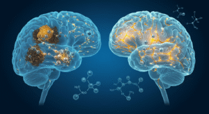 リチウムがアルツハイマー病を逆転か｜Harvard大、マウス実験で記憶完全回復 - innovaTopia - （イノベトピア）