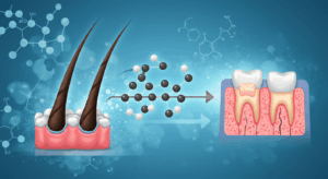髪の毛から究極の歯磨き粉誕生か｜ケラチン技術でエナメル質再生、2〜3年内実用化へ - innovaTopia - （イノベトピア）