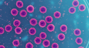  - innovaTopia - （イノベトピア）