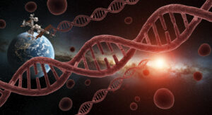 SpaceX補給ミッション研究で判明、宇宙飛行が人間の「ダークゲノム」を活性化し幹細胞老化を10倍加速 - innovaTopia - （イノベトピア）