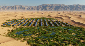 中国砂漠の太陽光発電所が生態系を改善、Scientific Reports論文で判明 - innovaTopia - （イノベトピア）