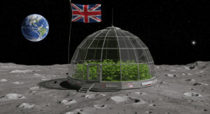 月でティータイム実現へ　ケント大学が宇宙農業で画期的成果、地球応用にも期待