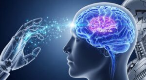 ドイツ霊長類センター、脳が新しい神経回路を作らずにBCI制御を学習する仕組みを解明