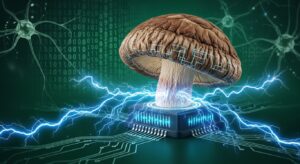 シリコンを超える日は来るか？ シイタケとマッシュルームがコンピュータメモリに